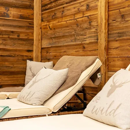Chalet Tauernlodge Eben A3 Eben Im Pongau